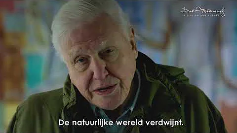 David Attenborough: A Life On Our Planet | Biodiversity clip