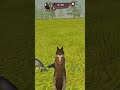 Get pregnant Wildcraft game