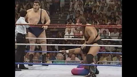 The Collosal Connection (Andre the Giant & Haku) vs Demolition