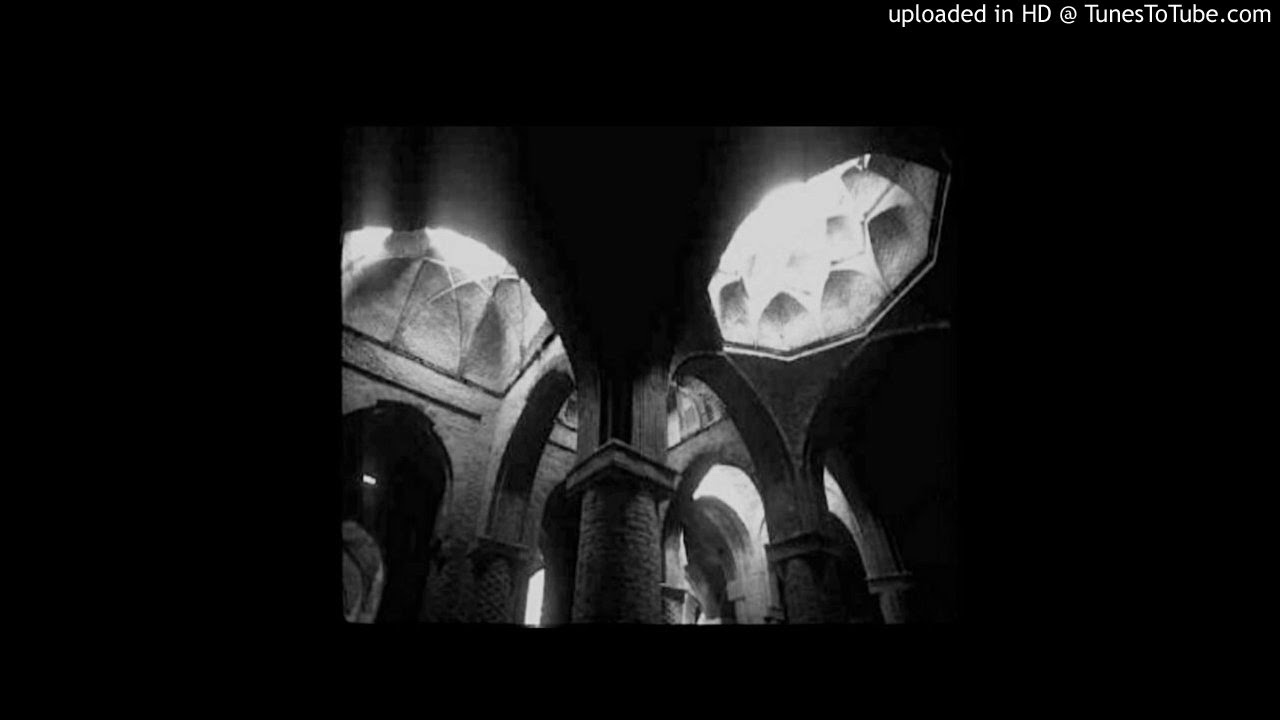 shawn williams - gay bitch anthem