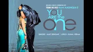 Tum Hi Ho (Aashiqui 2) (2013) (Cover By Amit Sengar & Lyrics By Kunal Vermal) (anwar0088) (212)