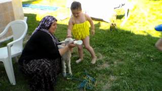 KURT VE KUZU-halil gumustekin