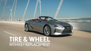 Lexus Vehicle Protection Valley Lexus Fall Views
