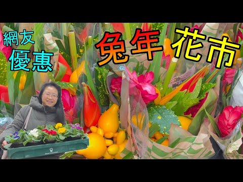 兔年🐇花市🎉網友享優惠🎁串串金🍂銀柳🌿迎春花🌼五代同堂🌻大吉樹🌿鴻運當頭🥀迷你蘭花💐Lunar New Year Market - Year of the Rabbit(字幕 / Caption)