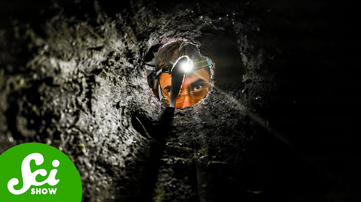 A Video About Digging A Hole | Compilation