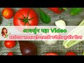 किचन मध्ये काम करत असताना नेहमी उपयोगी पडतील अश्या मजेशीर टिप्स / Useful Kichen Tips in Marathi