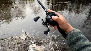 This Small Trout Stream was Loaded with Northern Pike! | Wisconsin Fishing