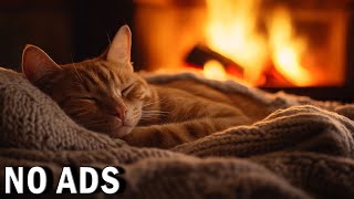(No Ads) Cat Sleep Music for Cats - Reduce anxiety Stress for pets💖Relax my cat🎵