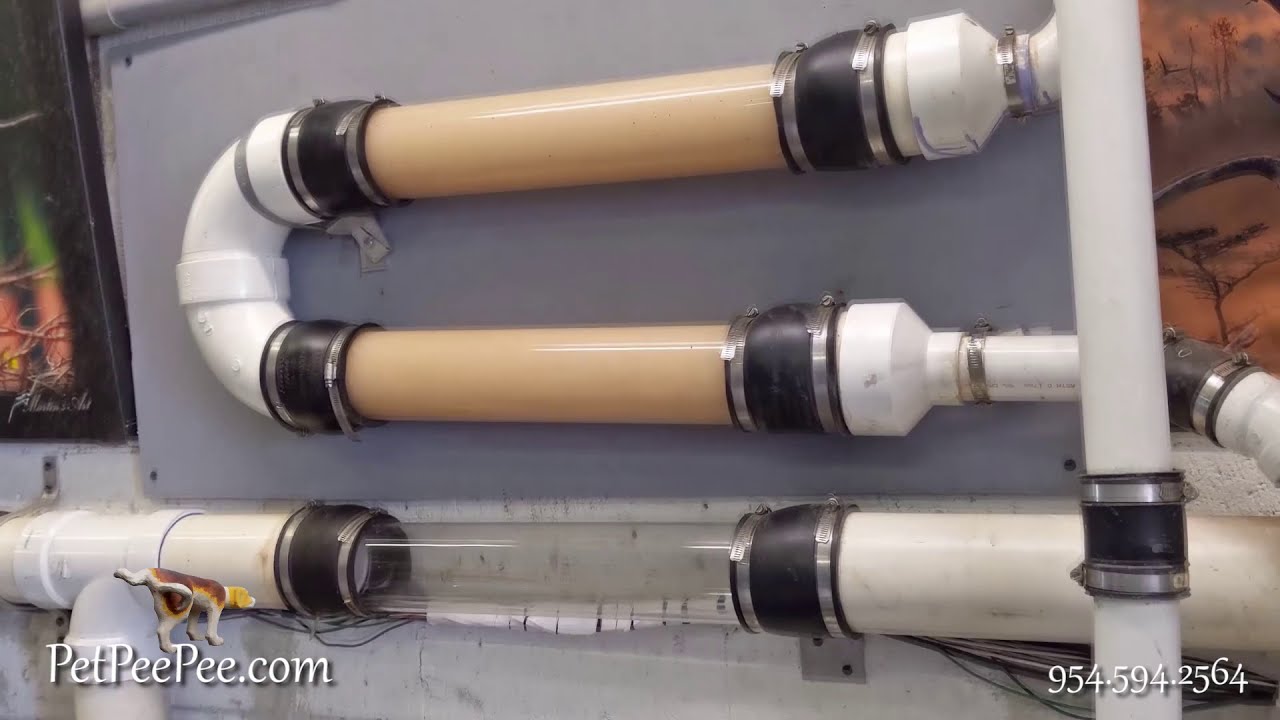 How to Clean a Supersize an Antique Persian Carpet | PetPeePee