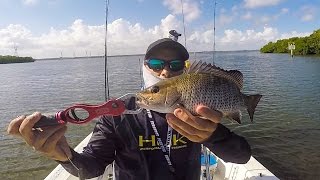 Jensen Beach - Power Plant Fishing for Snook Snapper and More - HD Video # 146