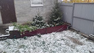 VLOG: ЖИЗНЬ В ЗАГОРОДНОМ🏡ДОМЕ/СНЕГ❄️ 🌨ПРИШЁЛ НЕОЖИДАННО #врек #сад #дом