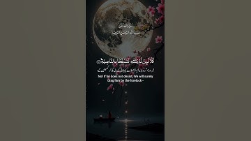 تلاوة عطرة #المصحف #القرآن_الكريم #تلاوة_خاشعة #لايك #اكسبلور #ترند #trending #foryou