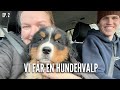 Vi fr en hundehvalp  livet p grden ep 2