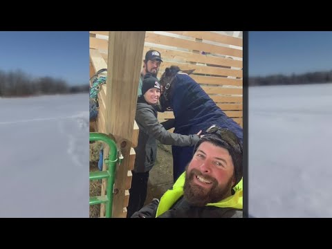 Wisconsin friends team up to save horse who fell through the ice