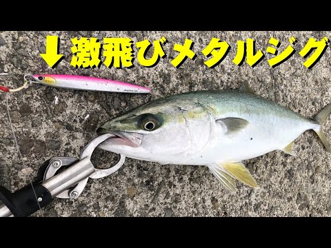 パームス　ジガロ　マッシブ　60g ショアジギング　メタルジグ ジガロマッシブのインプレと最適なフック！飛距離抜群の