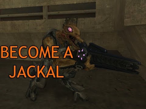 Halo 2 - How to Become a Jackal