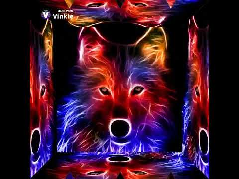 Wolf Animals Maroon 5 
