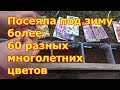 Зимний посев многолетних цветов. Отличный проверенный способ. Когда, как, какие сеять цветы под зиму