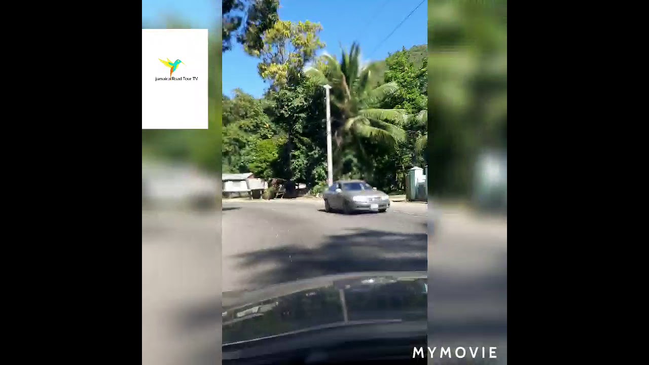 Driving through Bog walk gorge / AKA River road st Catherine