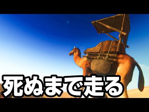 ラクダに過重労働をさせ続ける恐怖の砂漠サバイバル 『 Starsand 』#15
