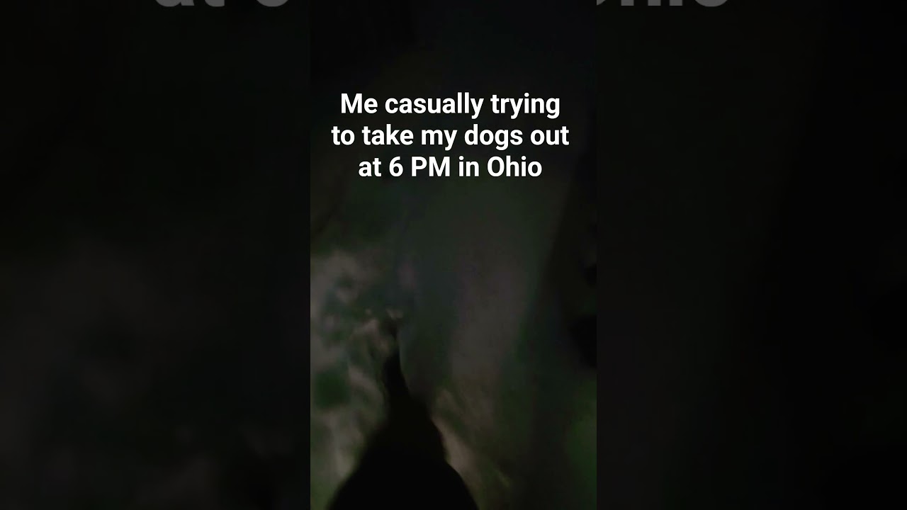 15 inches of snow is a decent amount 