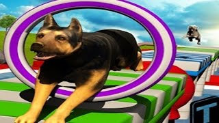Stunt Dog Simulator 3D - Android Gameplay HD screenshot 4