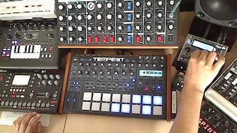 Korgasm (sneak preview, work in progress)