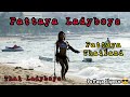 Pattaya ladyboys thai ladyboys pattaya thailand