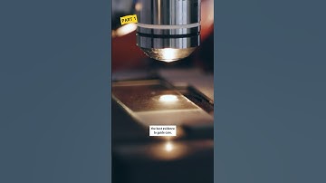 PT 1: Success tips from a world-renowned researcher #health #education #shorts