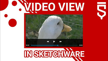 Video View in Sketchware