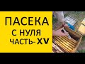 Пасека с нуля 15. Осення обработка пчёл бипином. Серная шашка от восковой моли./ www.uley.in