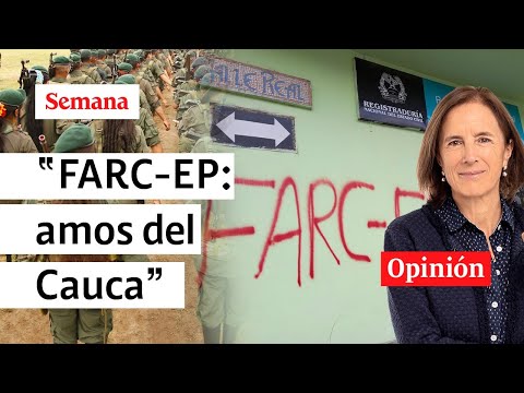 "Hay que aceptarlo. Farc mandan en el Cauca, es la verdad": Salud Hernández-Mora