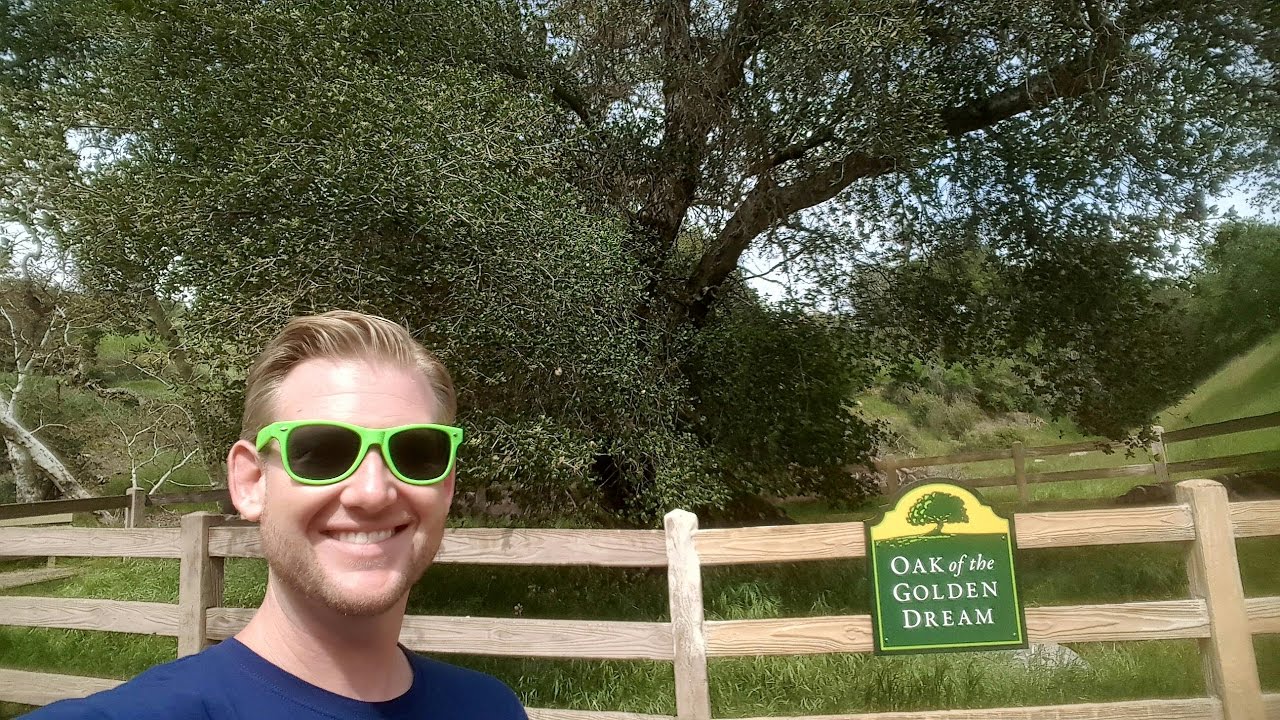 Oak of the Golden Dream | California's First Gold Discovery