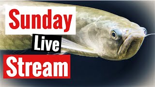 saltwater aquarium 免费在线视频最佳电影电视节目 viveos