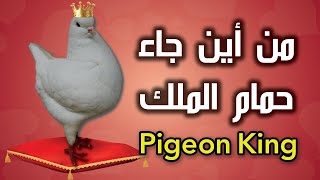 😍💪✅قصة حمام الملك  Pigeon King