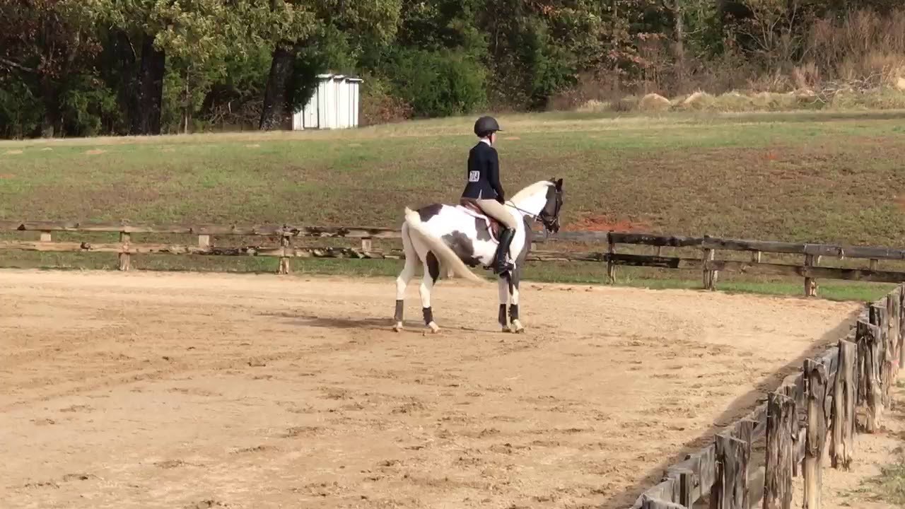 Kamere and catch rider - 2'6