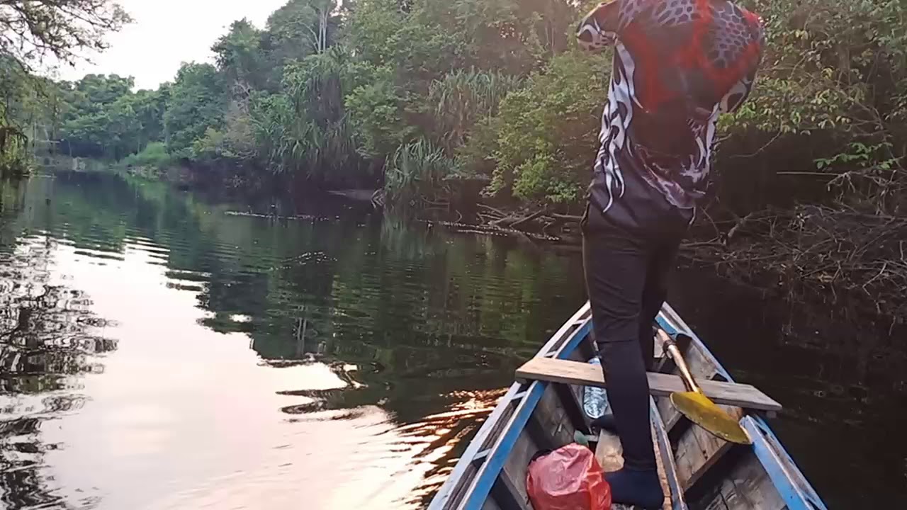 Mancing ikan toman