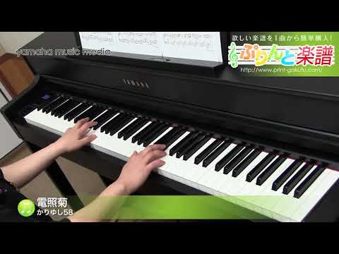 電照菊(かりゆし58) 動画 ピアノ（ソロ） 中級 ダウンロード 定額サブスク