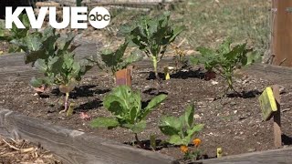 City of Austin to consider building 'agrihood' developments