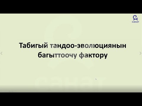 Video: Табигый тандалууга кандай факторлор таасир этет?