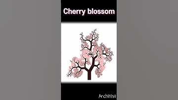 Cherry Blossom with MATLAB #coding #mathematics #matlab #visualization #logo #cherryblossom