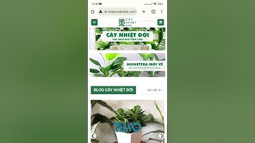 Mẫu giao diện website bán cây cảnh. #shorts