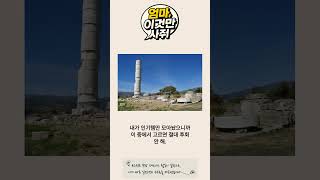 헤라 블랙 쿠션