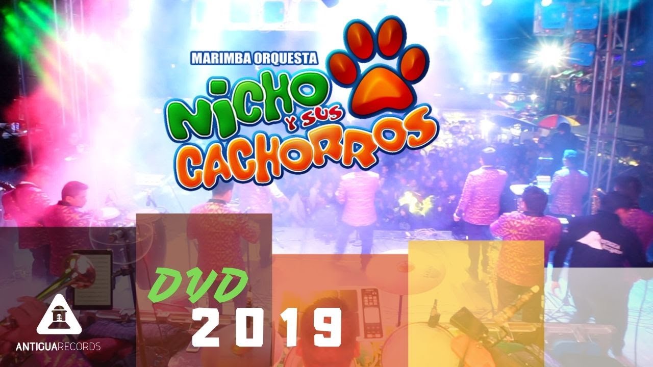Nicho y sus Cachorros DVD COMPLETO 2019 YouTube