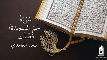 Surah 41/114 - سعد الغامدي - سورة  حٰمٓ السجدة / فُصّلَت  - Saad Al-Ghamdi - Surat Al Fussilat