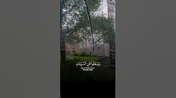 وهو الذي يقبل التوبة عن عباده ويعفوا عن السيئات 🤍.../#تلاوة_خاشعة #تلاوات #تلاوة #لايك #اكسبلور