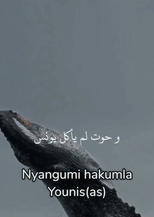 VISA VYA MITUME NA MAAJABU YA MUNGU