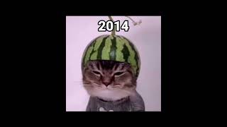 feel old yet? #meme #memes #cat #short #shorts