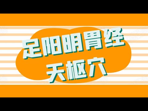足阳明胃经——天枢穴