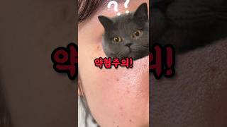 얼굴에 갈색 반점😲 기미야? 주근깨야? 잡티야? #기미주근깨차이 #기미잡티차이